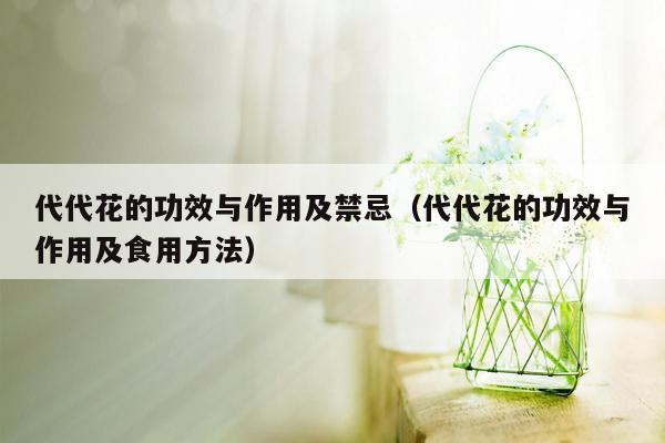 代代花的功效与作用及禁忌（代代花的功效与作用及食用方法）