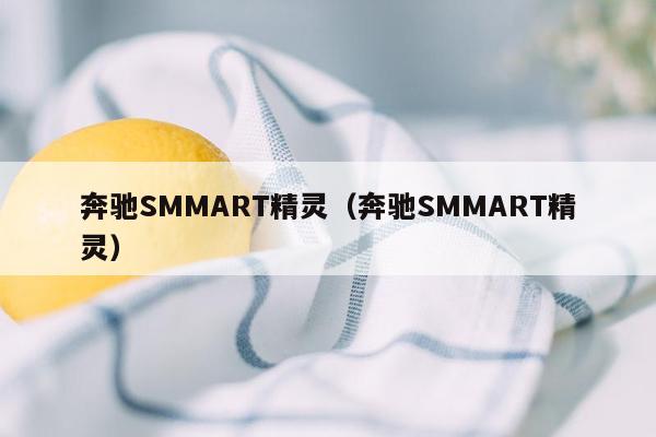 奔驰SMMART精灵（奔驰SMMART精灵）