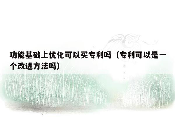 功能基础上优化可以买专利吗（专利可以是一个改进方法吗）