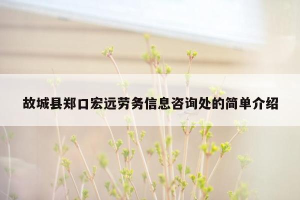 故城县郑口宏远劳务信息咨询处的简单介绍