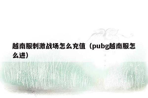 越南服刺激战场怎么充值（pubg越南服怎么进）