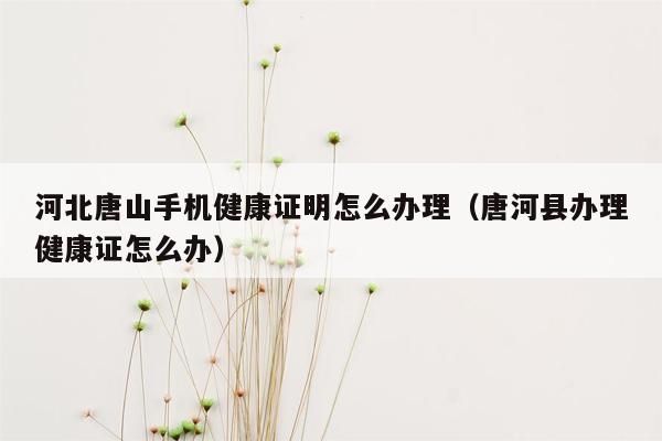 河北唐山手机健康证明怎么办理（唐河县办理健康证怎么办）