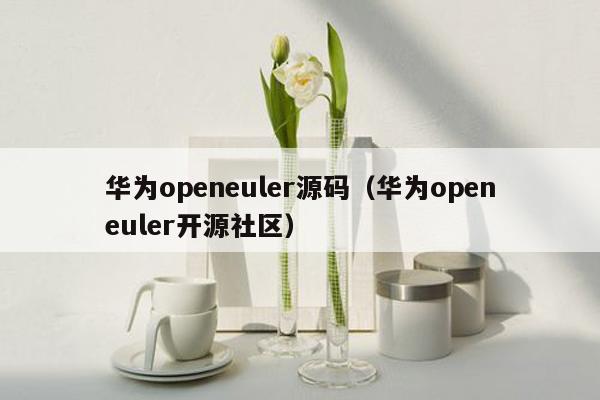 华为openeuler源码（华为openeuler开源社区）