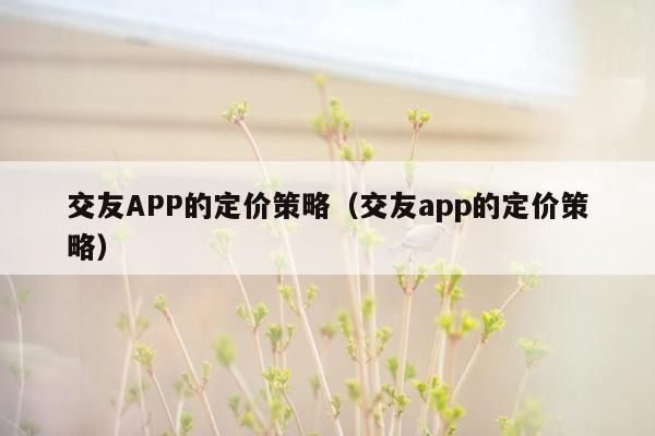 交友APP的定价策略（交友app的定价策略）