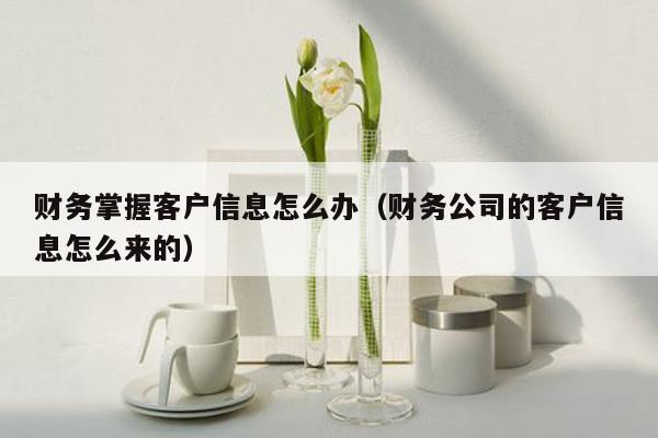 财务掌握客户信息怎么办（财务公司的客户信息怎么来的）