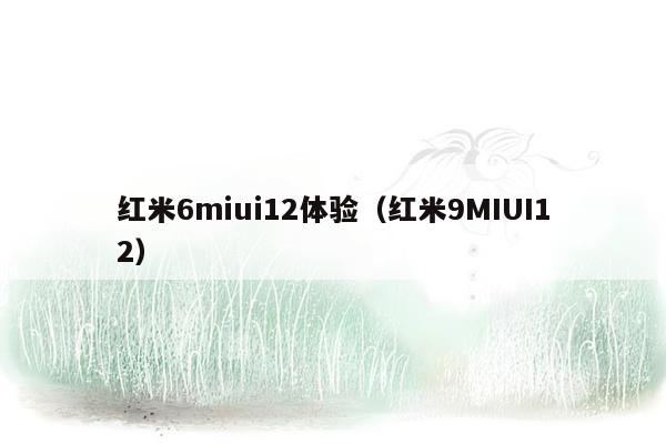 红米6miui12体验（红米9MIUI12）