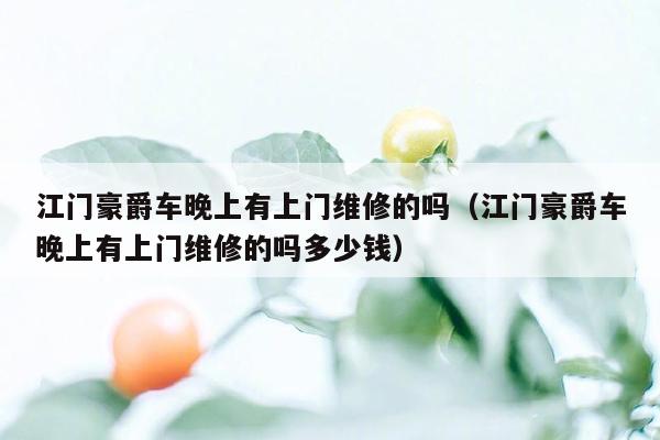江门豪爵车晚上有上门维修的吗（江门豪爵车晚上有上门维修的吗多少钱）