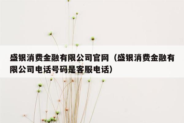 盛银消费金融有限公司官网（盛银消费金融有限公司电话号码是客服电话）