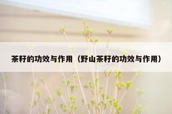茶籽的功效与作用（野山茶籽的功效与作用）