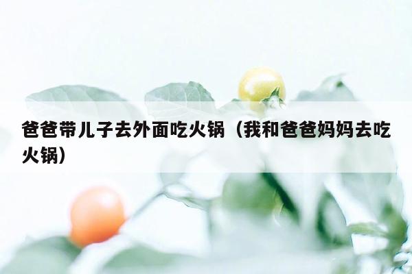 爸爸带儿子去外面吃火锅（我和爸爸妈妈去吃火锅）