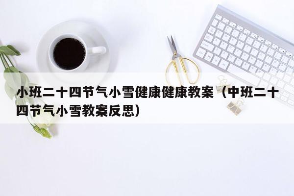 小班二十四节气小雪健康健康教案（中班二十四节气小雪教案反思）