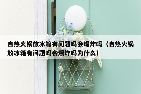 自热火锅放冰箱有问题吗会爆炸吗（自热火锅放冰箱有问题吗会爆炸吗为什么）