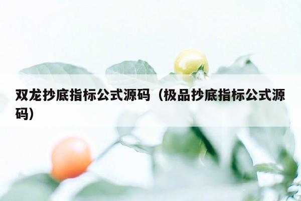 双龙抄底指标公式源码（极品抄底指标公式源码）