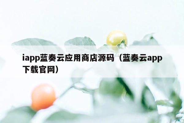 iapp蓝奏云应用商店源码（蓝奏云app下载官网）