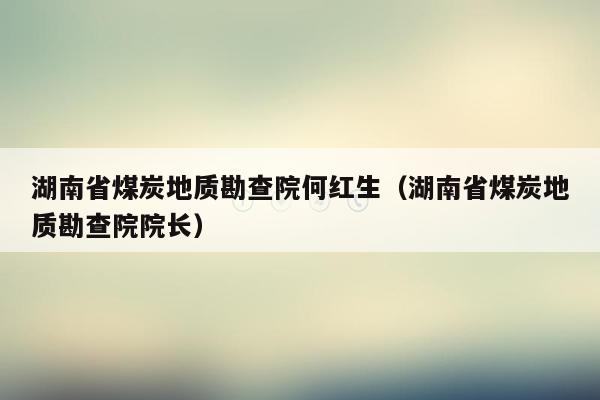 湖南省煤炭地质勘查院何红生（湖南省煤炭地质勘查院院长）