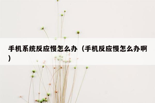 手机系统反应慢怎么办（手机反应慢怎么办啊）