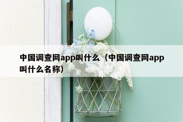 中国调查网app叫什么（中国调查网app叫什么名称）