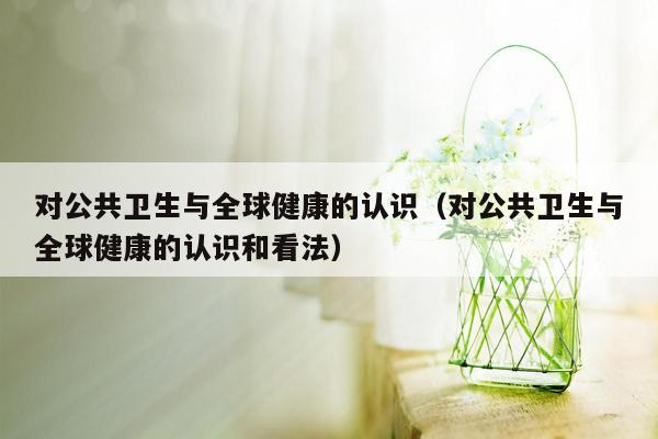 对公共卫生与全球健康的认识（对公共卫生与全球健康的认识和看法）