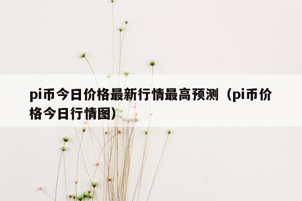 pi币今日价格最新行情最高预测（pi币价格今日行情图）