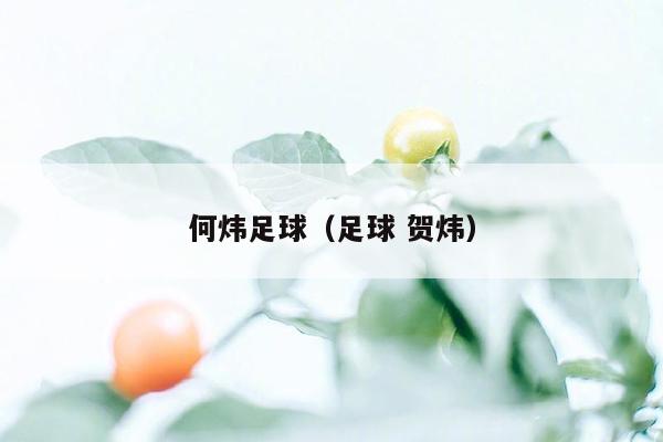 何炜足球（足球 贺炜）