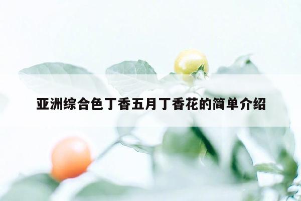 亚洲综合色丁香五月丁香花的简单介绍