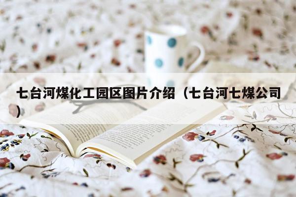 七台河煤化工园区图片介绍（七台河七煤公司）