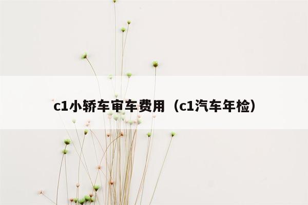 c1小轿车审车费用（c1汽车年检）