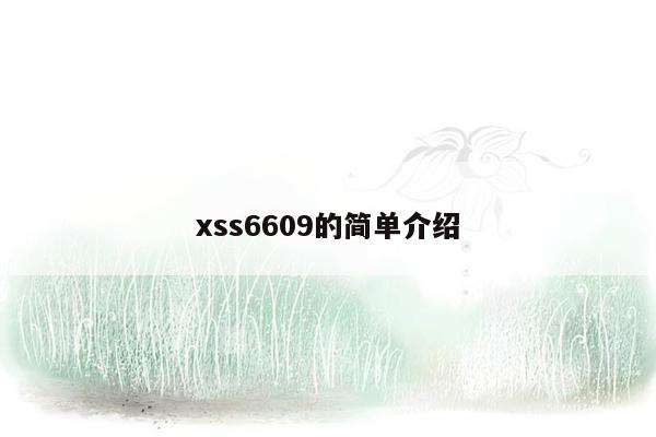 xss6609的简单介绍