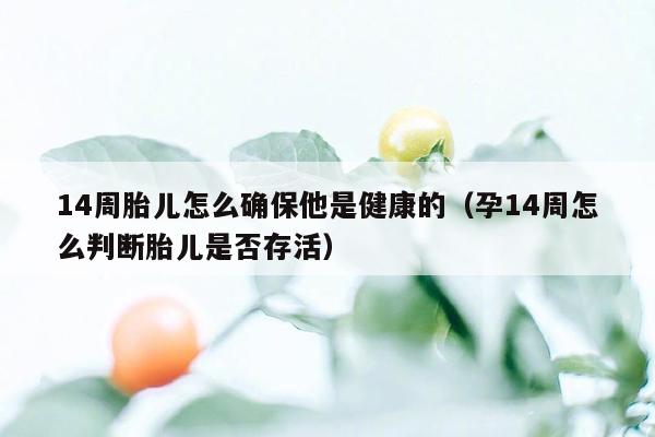 14周胎儿怎么确保他是健康的（孕14周怎么判断胎儿是否存活）