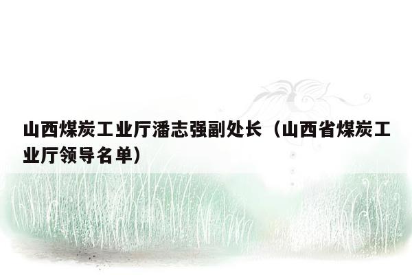 山西煤炭工业厅潘志强副处长（山西省煤炭工业厅领导名单）