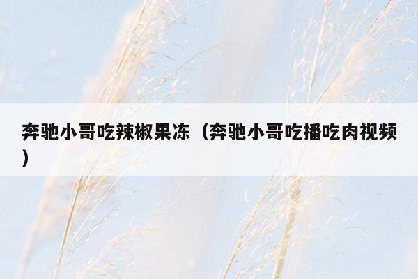 奔驰小哥吃辣椒果冻（奔驰小哥吃播吃肉视频）