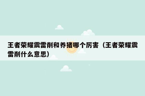 王者荣耀震雷削和养猪哪个厉害（王者荣耀震雷削什么意思）