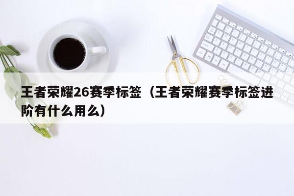 王者荣耀26赛季标签（王者荣耀赛季标签进阶有什么用么）