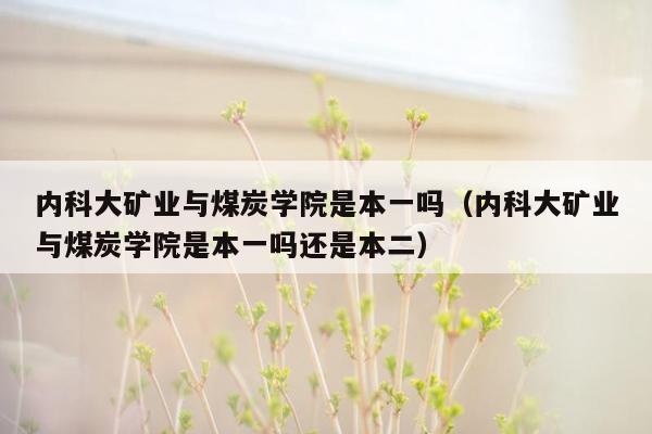 内科大矿业与煤炭学院是本一吗（内科大矿业与煤炭学院是本一吗还是本二）