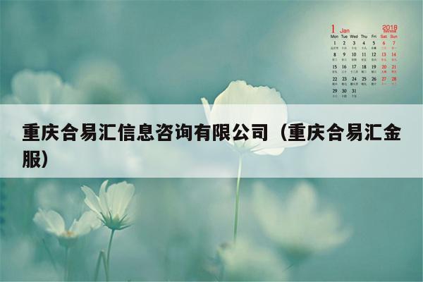 重庆合易汇信息咨询有限公司（重庆合易汇金服）