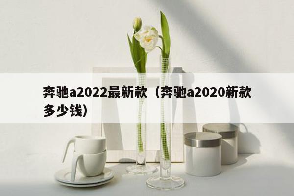 奔驰a2022最新款（奔驰a2020新款多少钱）