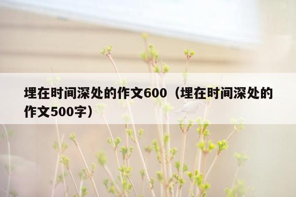 埋在时间深处的作文600（埋在时间深处的作文500字）