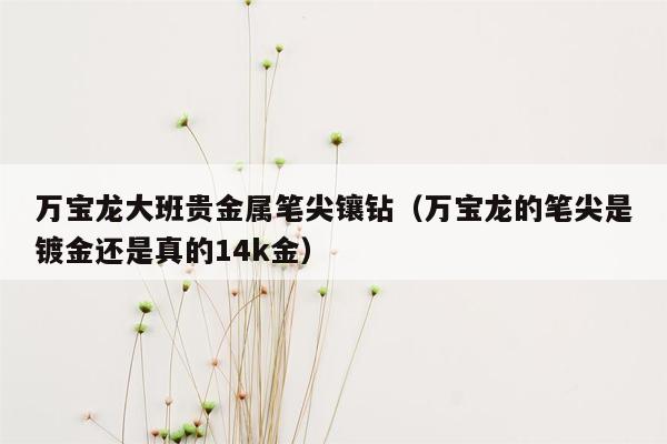 万宝龙大班贵金属笔尖镶钻（万宝龙的笔尖是镀金还是真的14k金）