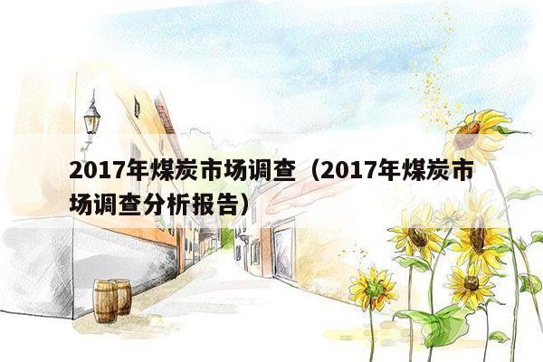 2017年煤炭市场调查（2017年煤炭市场调查分析报告）