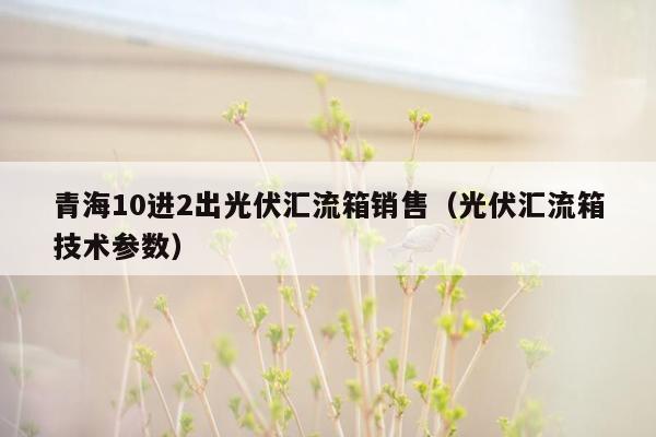 青海10进2出光伏汇流箱销售（光伏汇流箱技术参数）