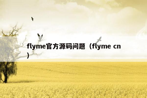 flyme官方源码问题（flyme cn）