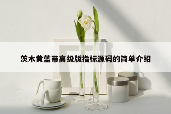 茨木黄蓝带高级版指标源码的简单介绍