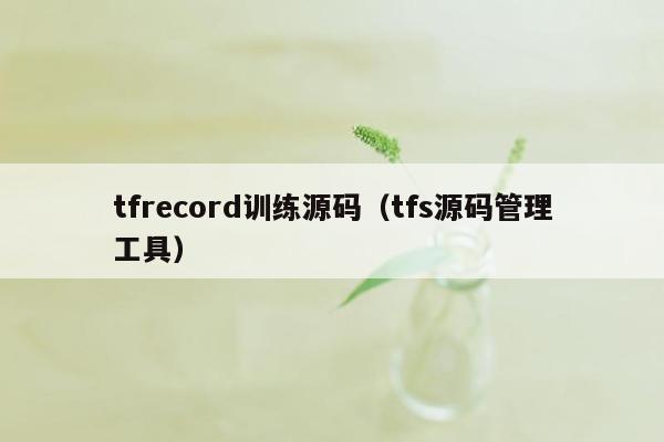 tfrecord训练源码（tfs源码管理工具）