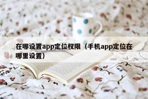 在哪设置app定位权限（手机app定位在哪里设置）