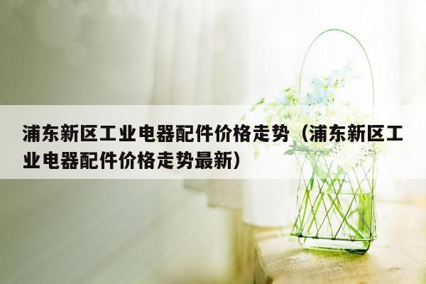 浦东新区工业电器配件价格走势（浦东新区工业电器配件价格走势最新）