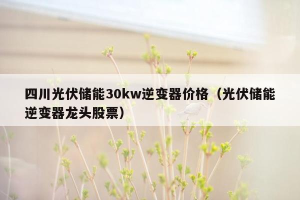 四川光伏储能30kw逆变器价格（光伏储能逆变器龙头股票）