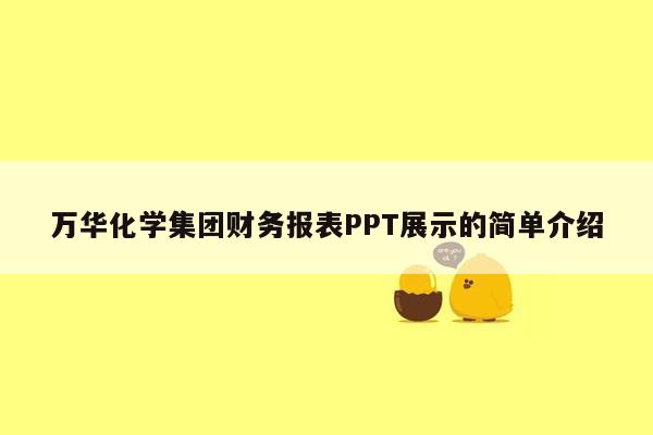 万华化学集团财务报表PPT展示的简单介绍