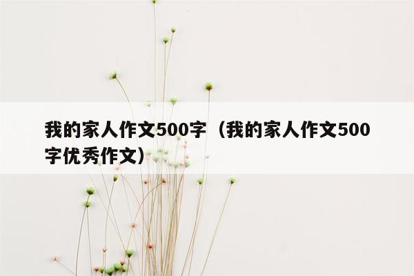 我的家人作文500字（我的家人作文500字优秀作文）