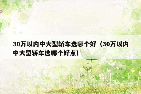 30万以内中大型轿车选哪个好（30万以内中大型轿车选哪个好点）