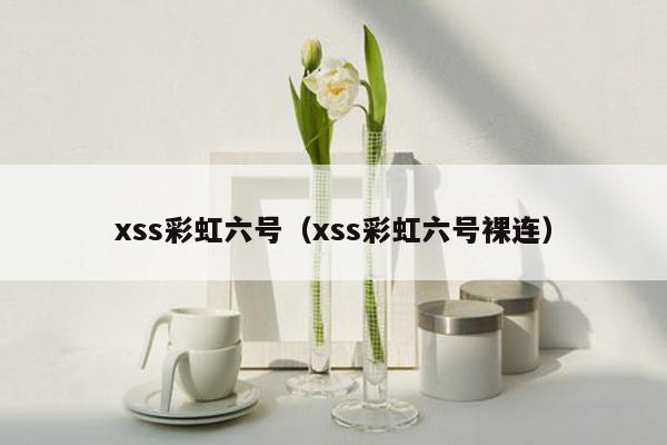 xss彩虹六号（xss彩虹六号裸连）